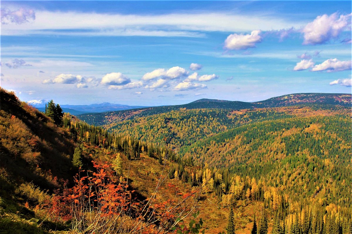 Осень в горах - Сергей Чиняев 
