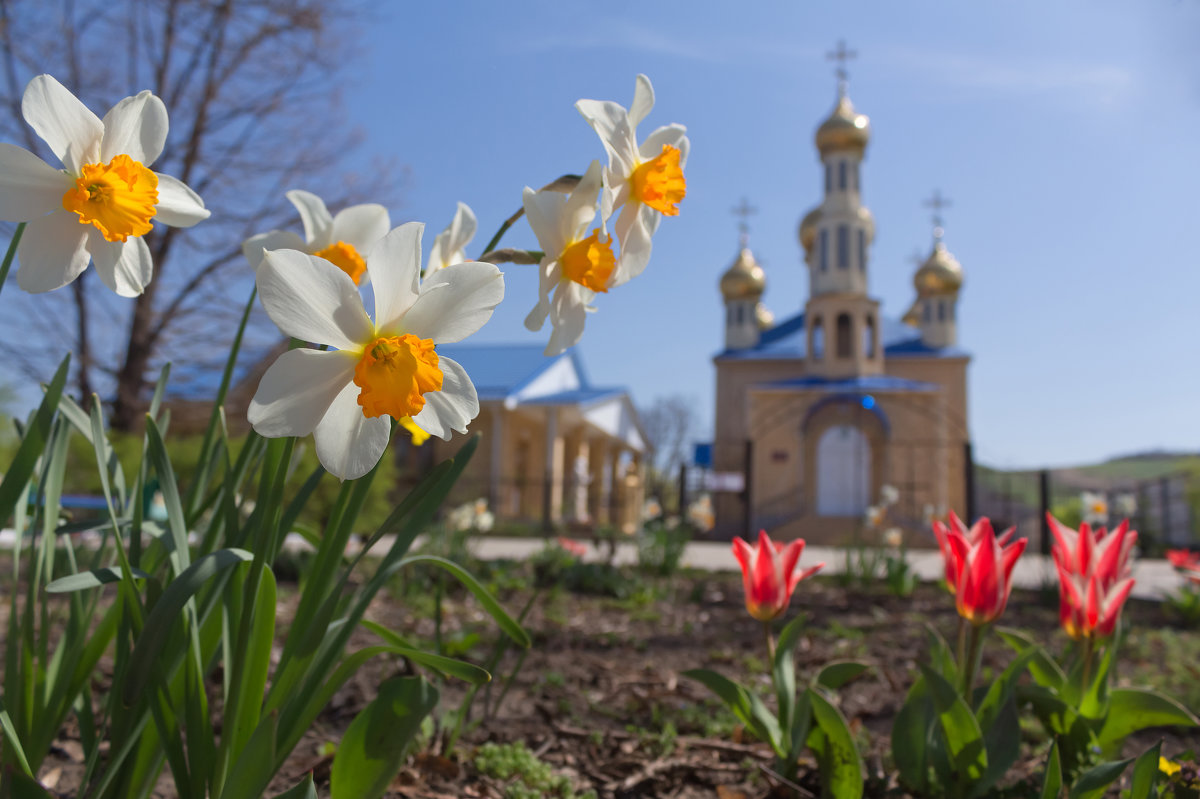 Весна у Храма - Евгений Воропинов