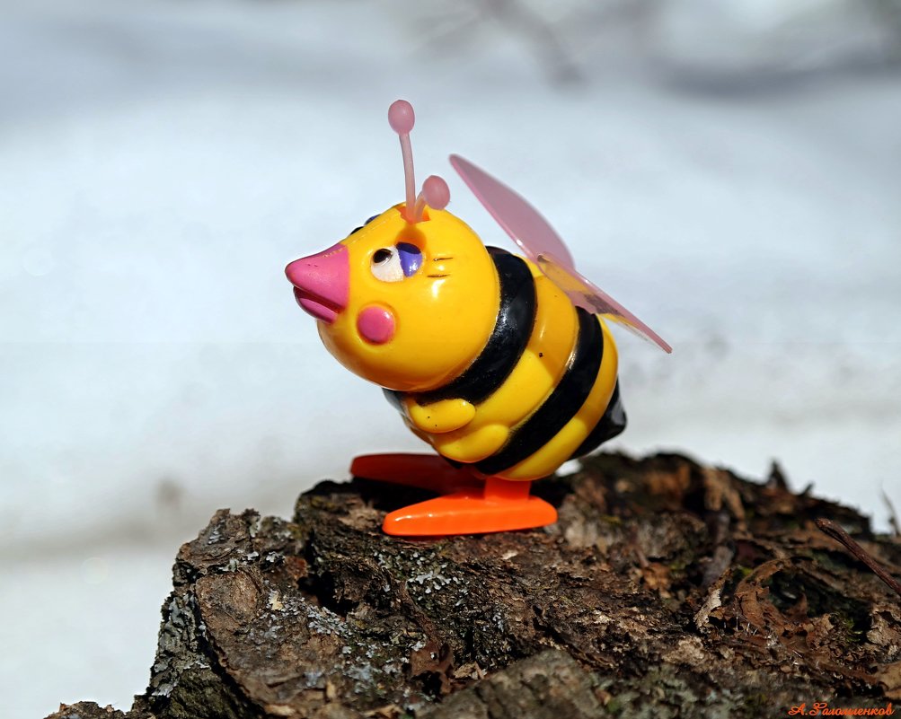 Ну когда же пчёлки прилетят?:) - Андрей Заломленков