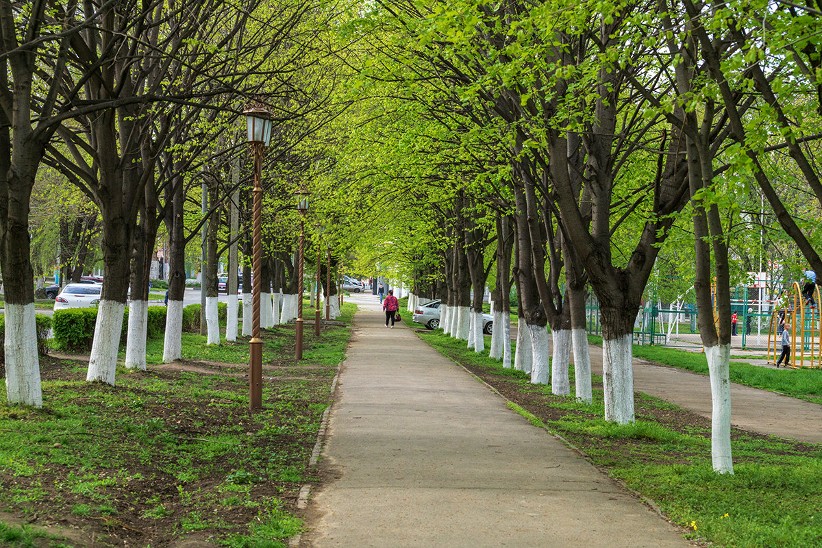 Весна в моем городе - Игорь Сикорский