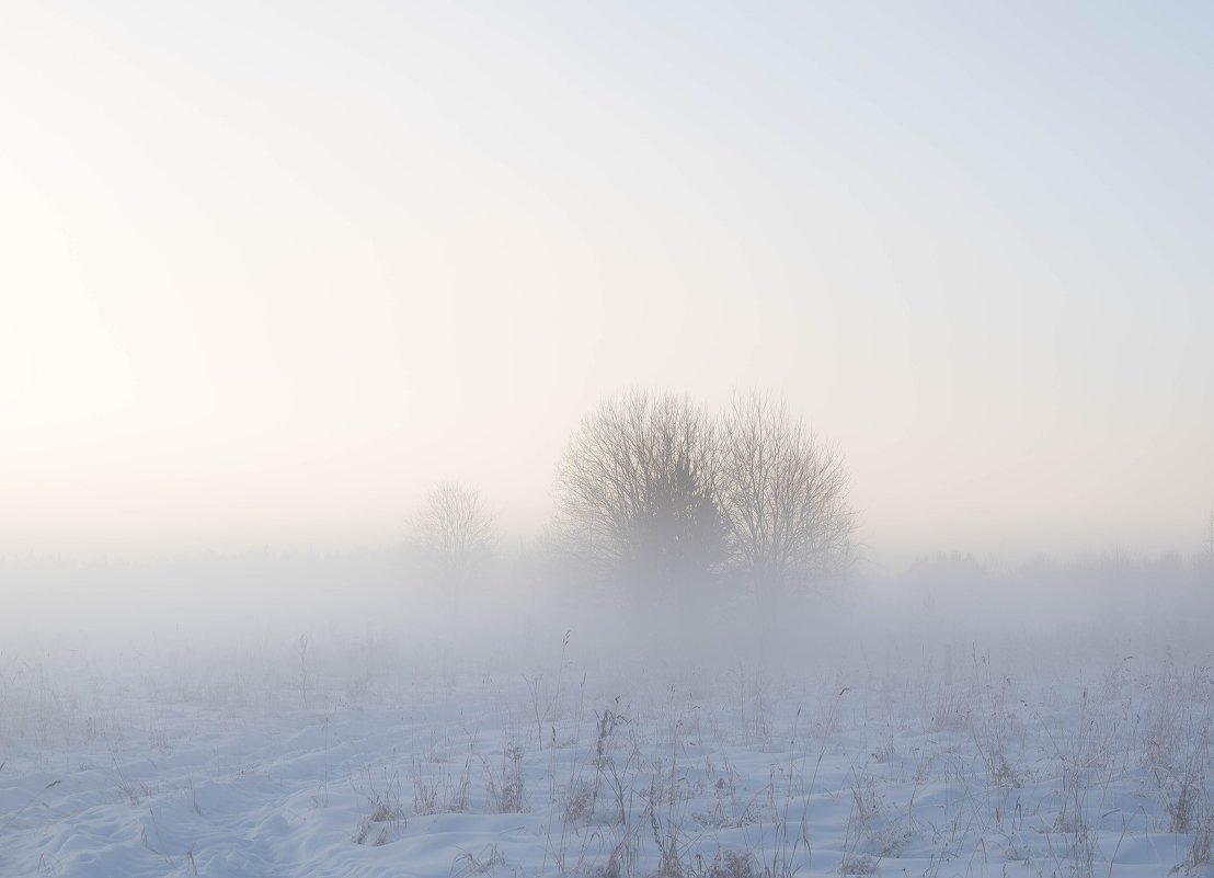 туман - Ирина 
