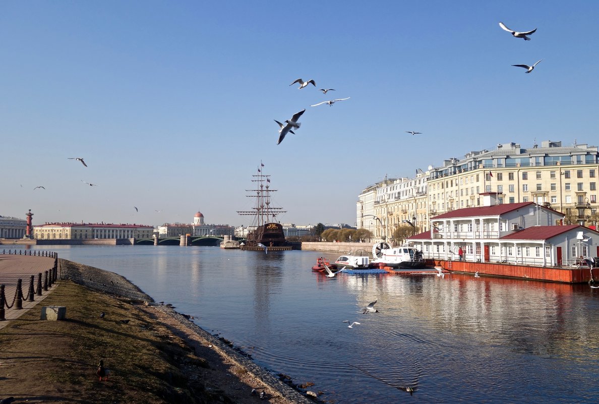 У Кронверкской набережной - Елена 