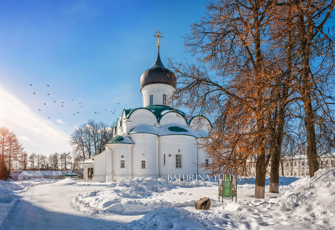 Троицкий собор и птицы - Юлия Батурина