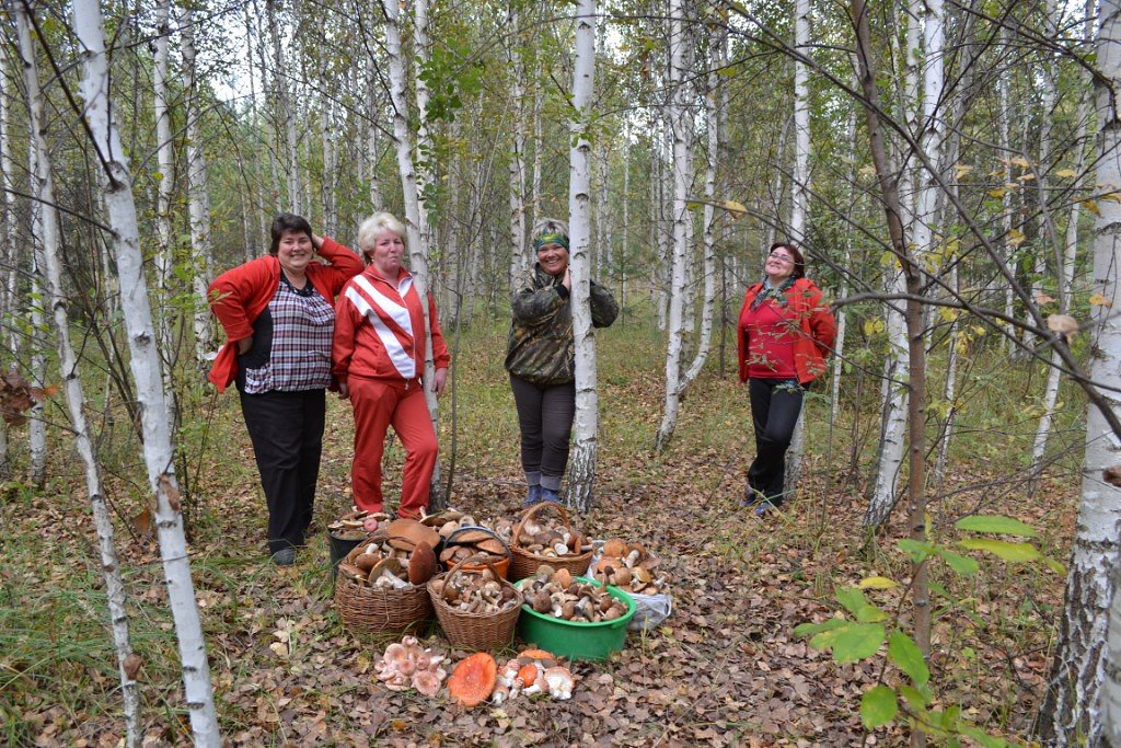 Одежда для грибников. Или в чем ходить осенью в лес!