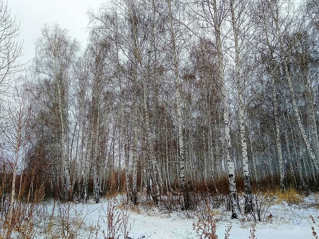 Снег в апреле - Татьяна Котельникова