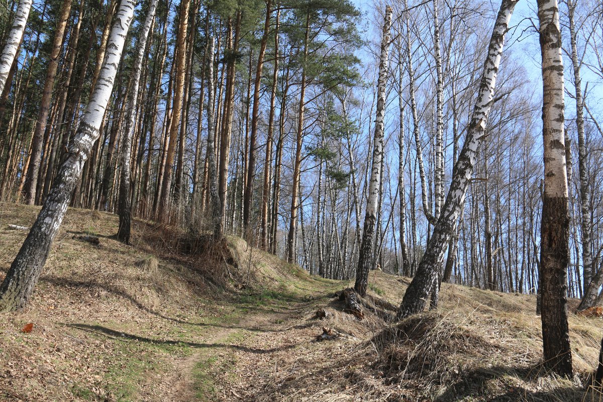 Весна - Владимир Холодницкий