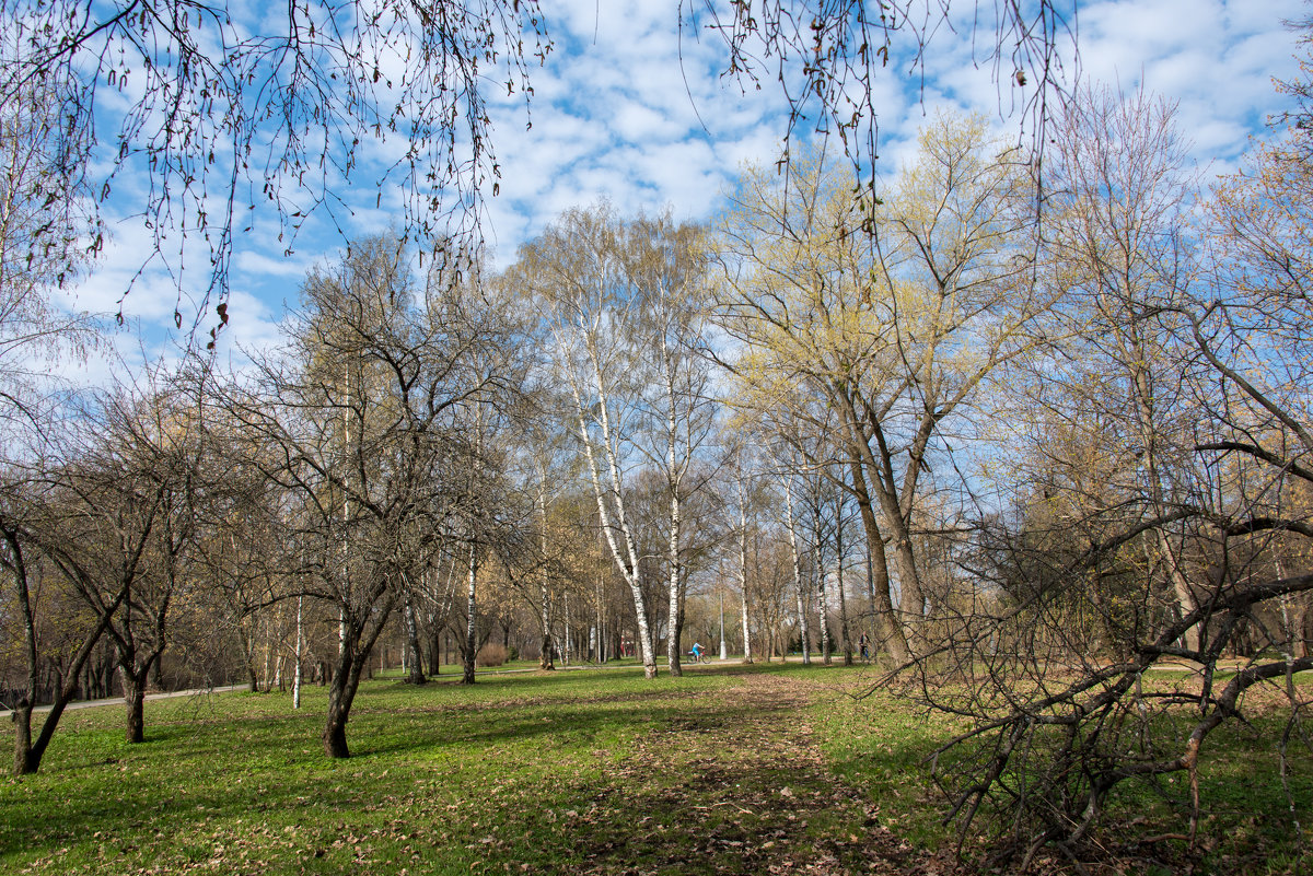 Старый сад. - Владимир Безбородов