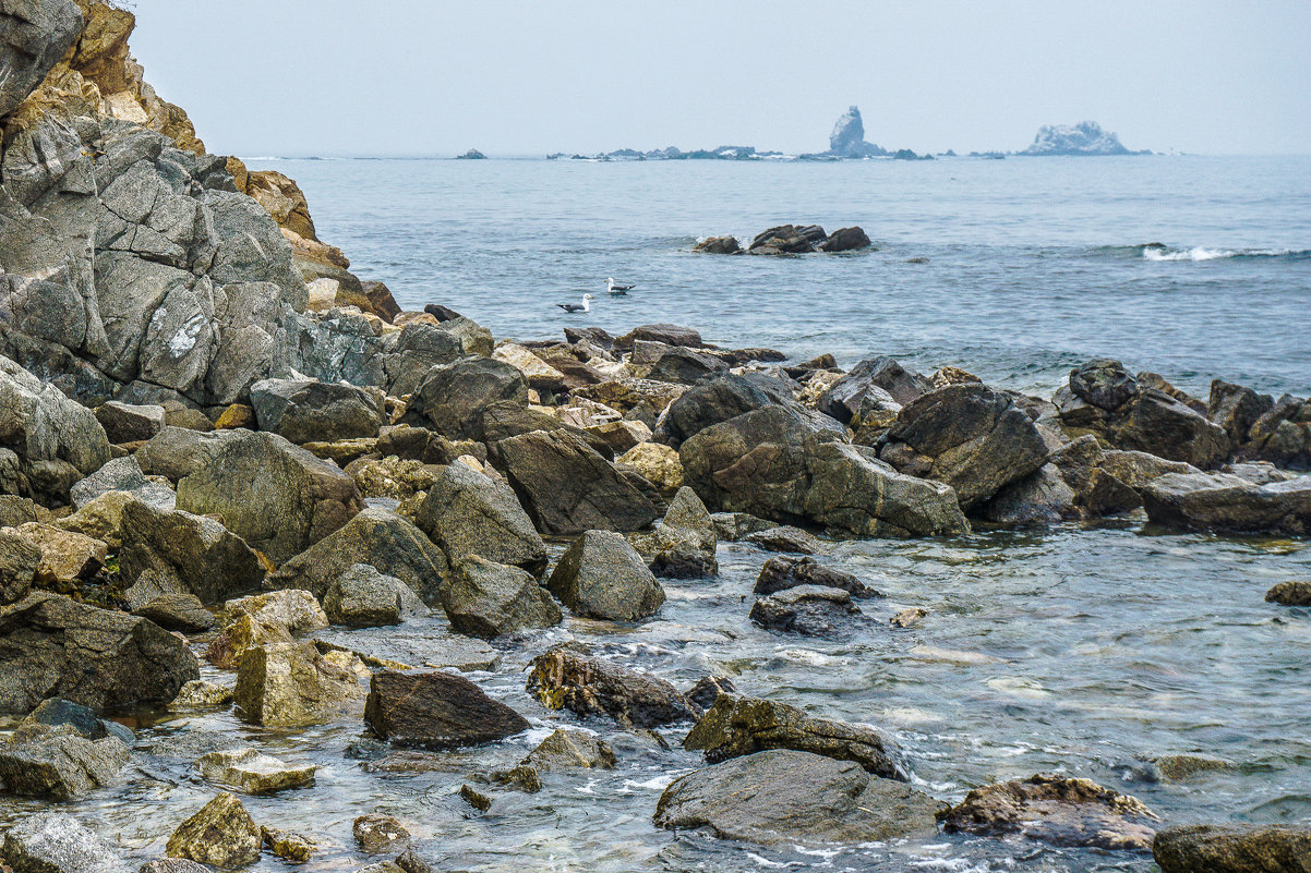 Скалистый берег Японского моря... - Арина 