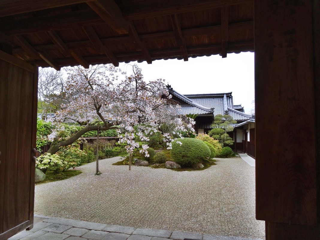 Заглянув в японский сад - wea *
