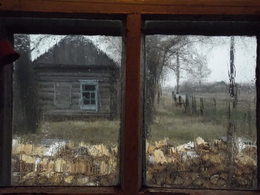 Сегодня дождь стучал в окно... - Светлана Рябова-Шатунова