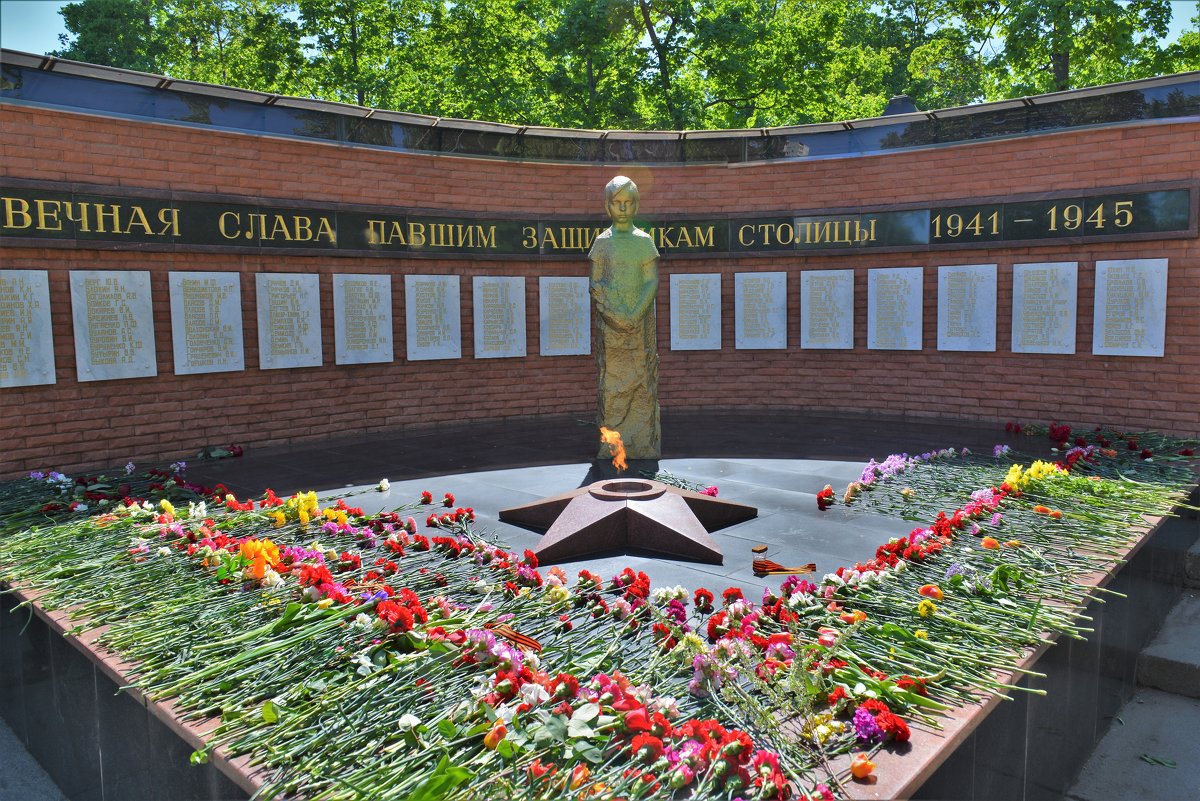 Мемориал на Даниловском кладбище - Константин Анисимов