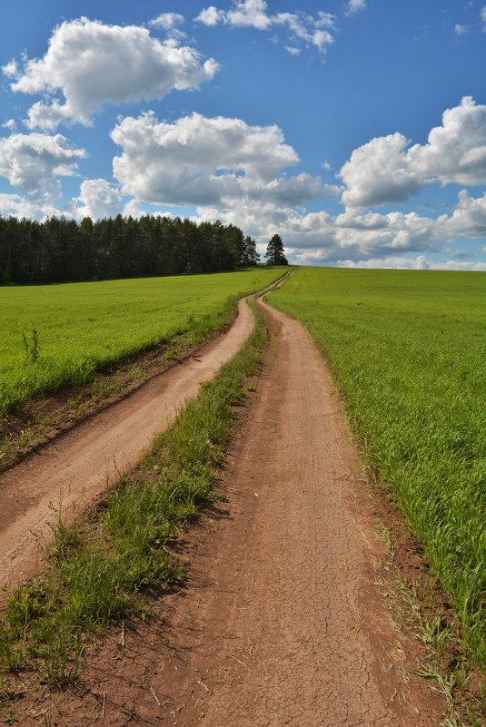 . - александр ратов