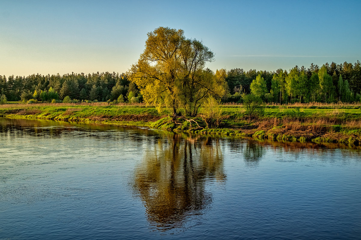 Река Клязьма Орехово-Зуево