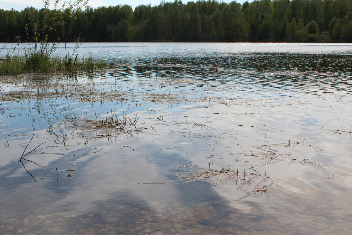 вода - Светлана Рябова 