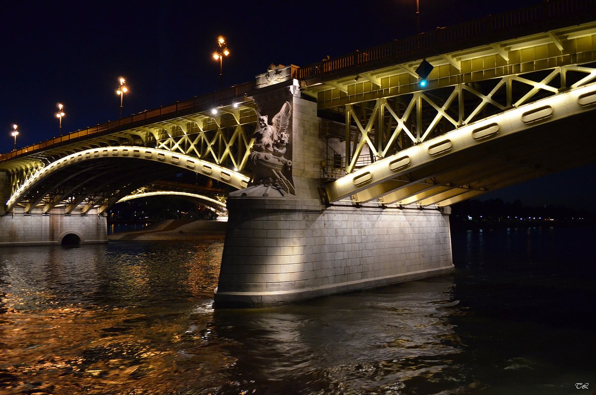 Будапешт. Мост Маргарет - Татьяна Ларионова