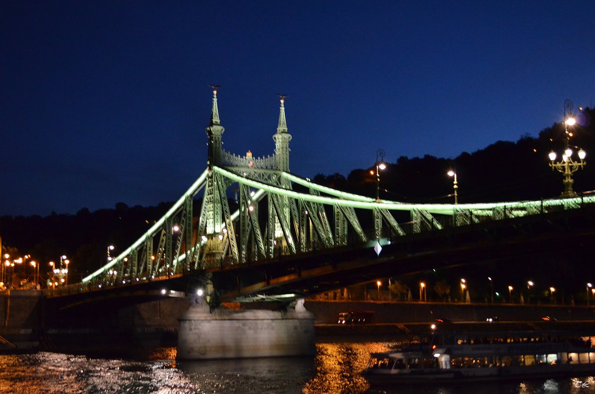 Будапешт. Мост Свободы - Татьяна Ларионова