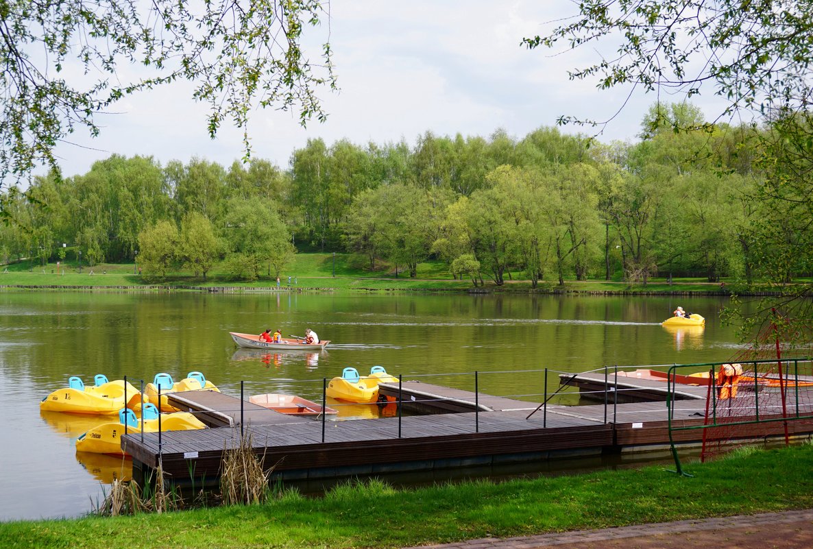 Весна в парке - Ольга 