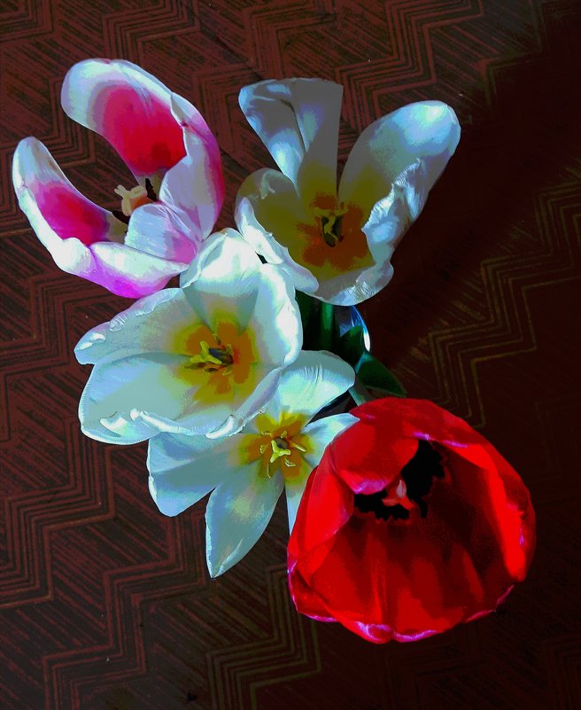Тюльпаны - Виктор Никитенко