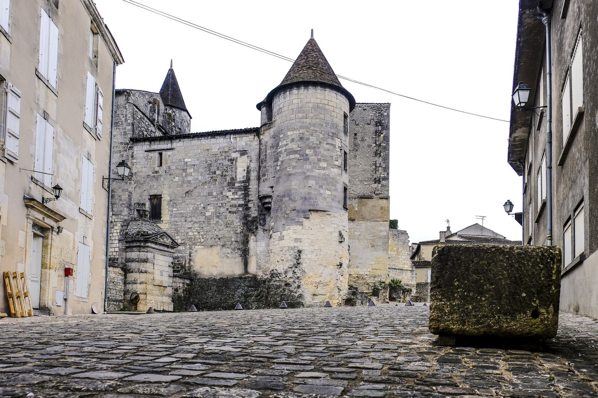 Замок г. Коньяк (Сhateau de Cognac) или замок короля Франуса  I - Георгий А