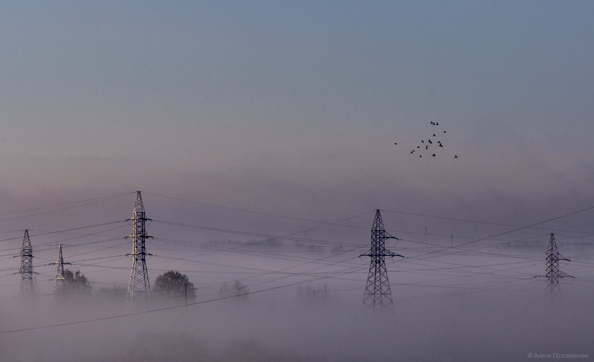 Сиреневый туман над полем проплывает - Алеся Пушнякова