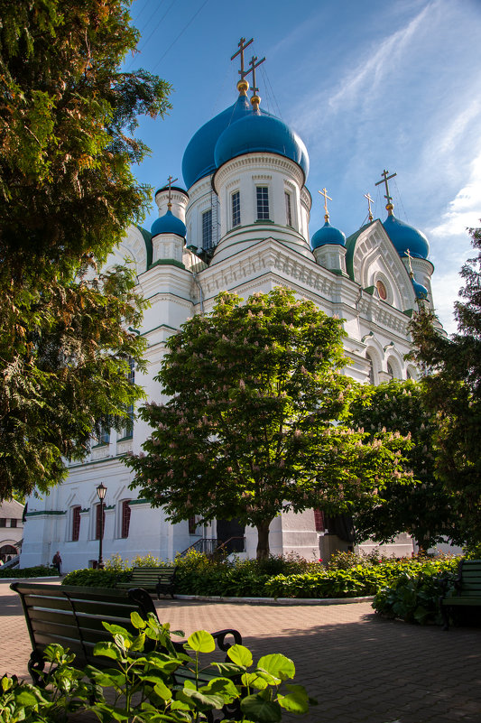 Николо-Перервинский монастырь - Alexander Petrukhin 