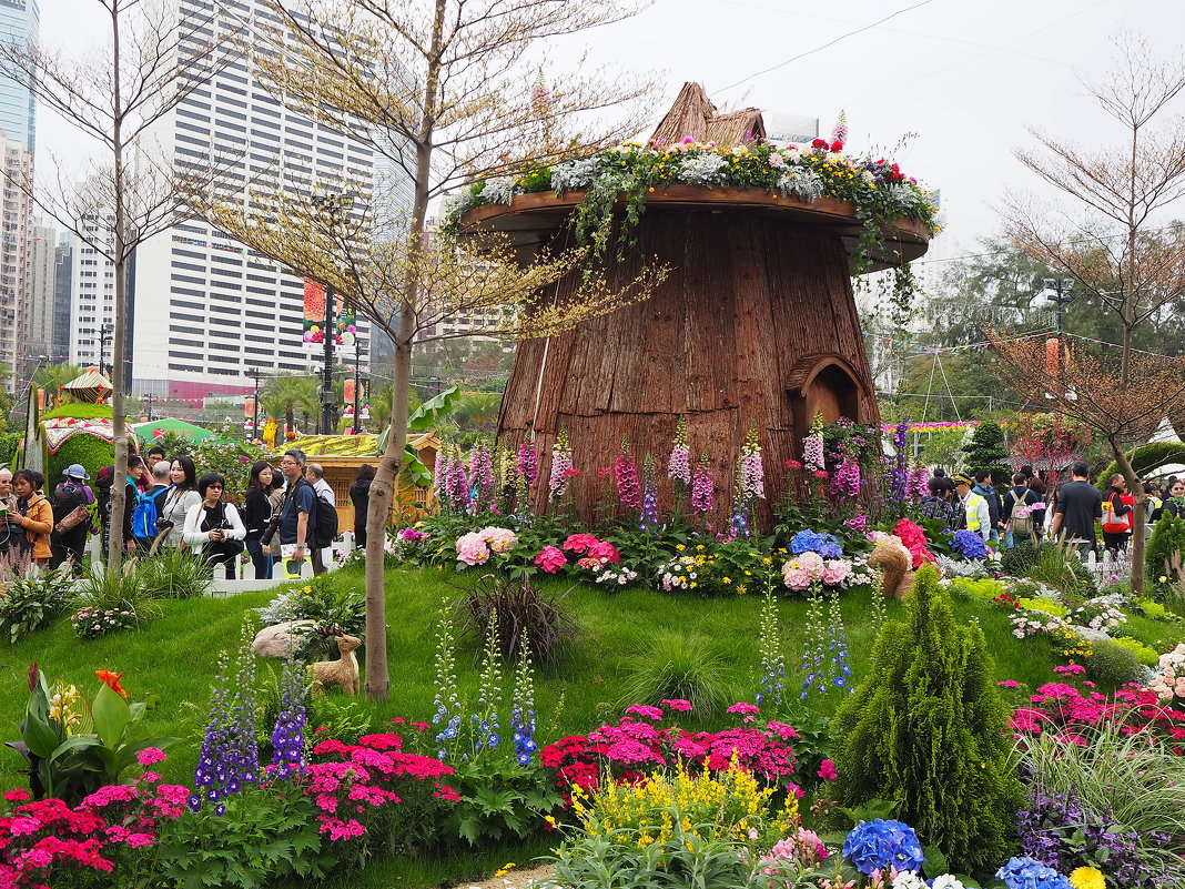 Гонконг "Парк Виктория" - цветочное шоу - wea *