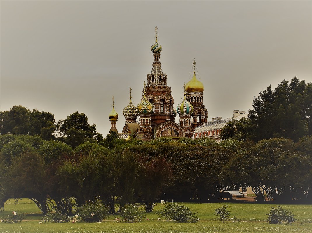 Петербург - Вероника 