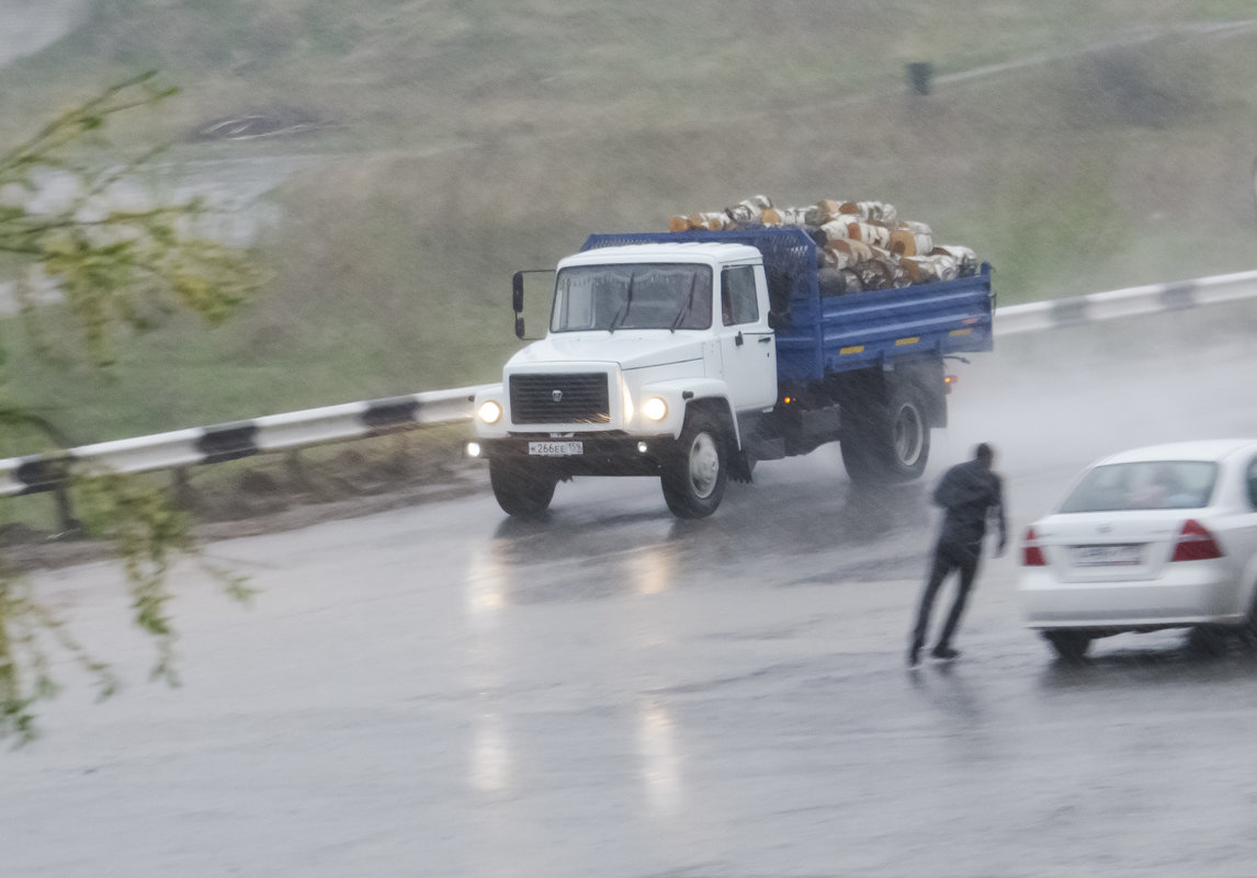 Звонкой пеленой наполнил небо майский дождь - Роман Пацкевич