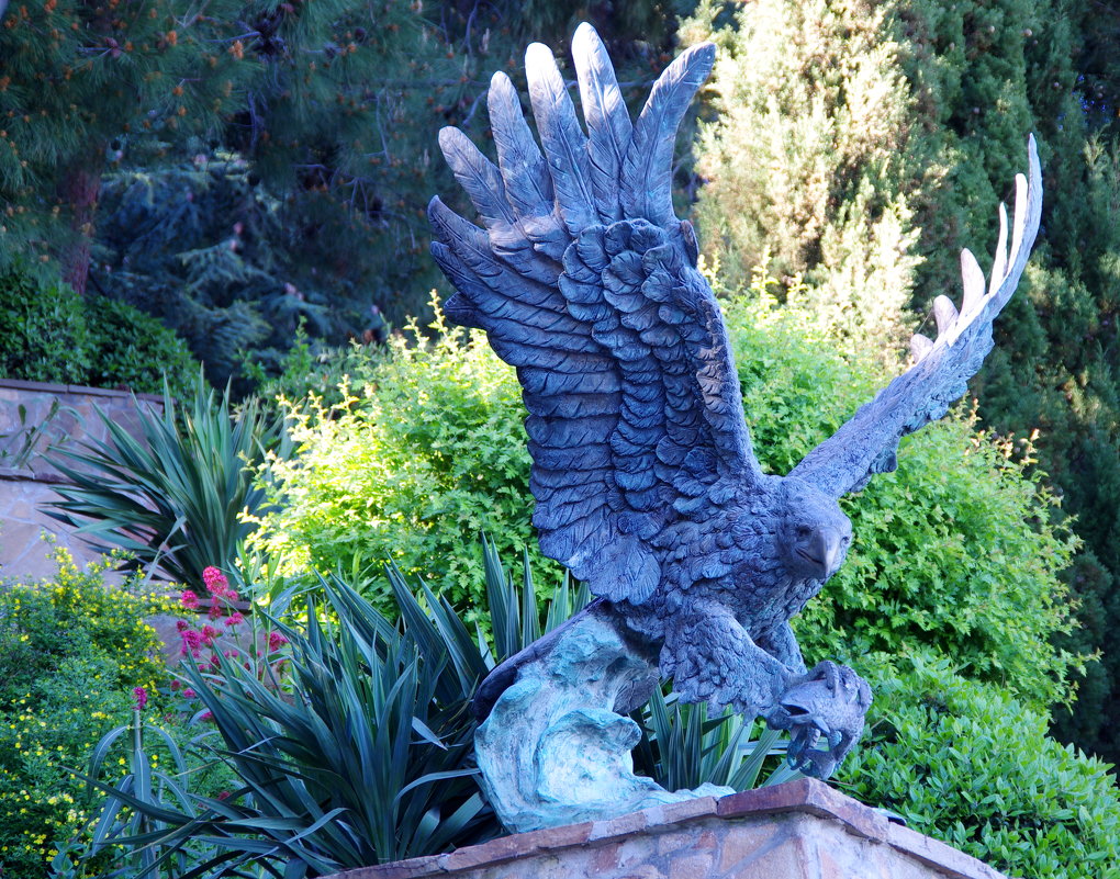 Орел в Террасном саду на набережной - Валерий Новиков