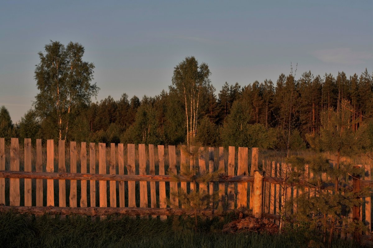 Первый, ласкающий свет - Николай Масляев