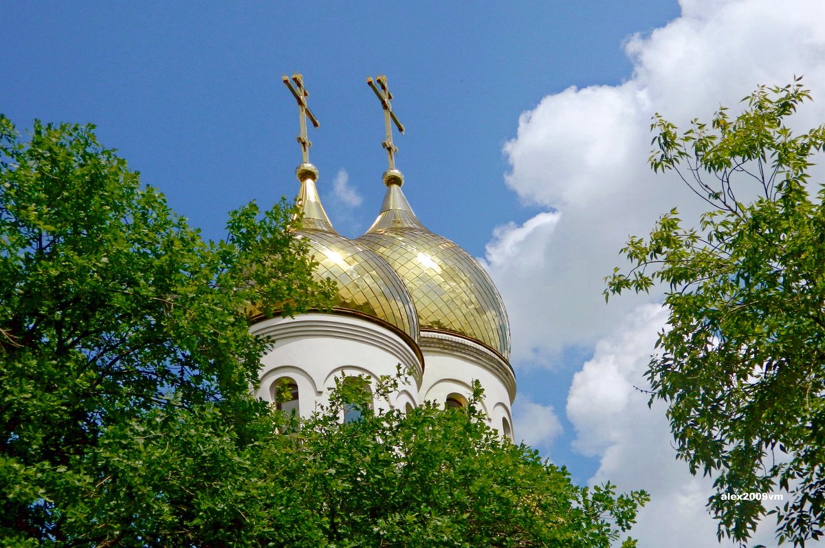 Купола среди деревьев - Александр Машков (alex2009vm)