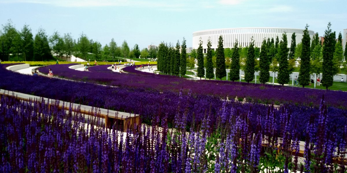 В парке - Елена Байдакова