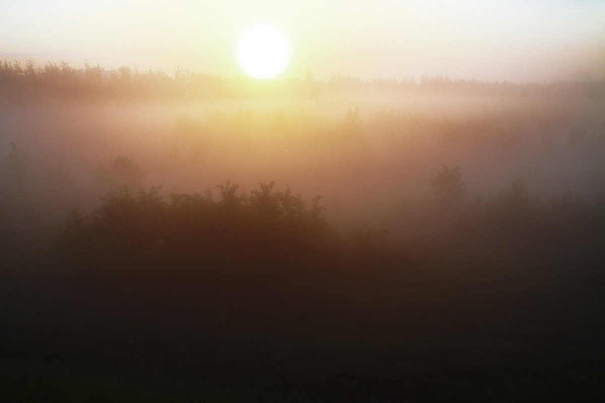 Восход над полесьем #3 - M Marikfoto