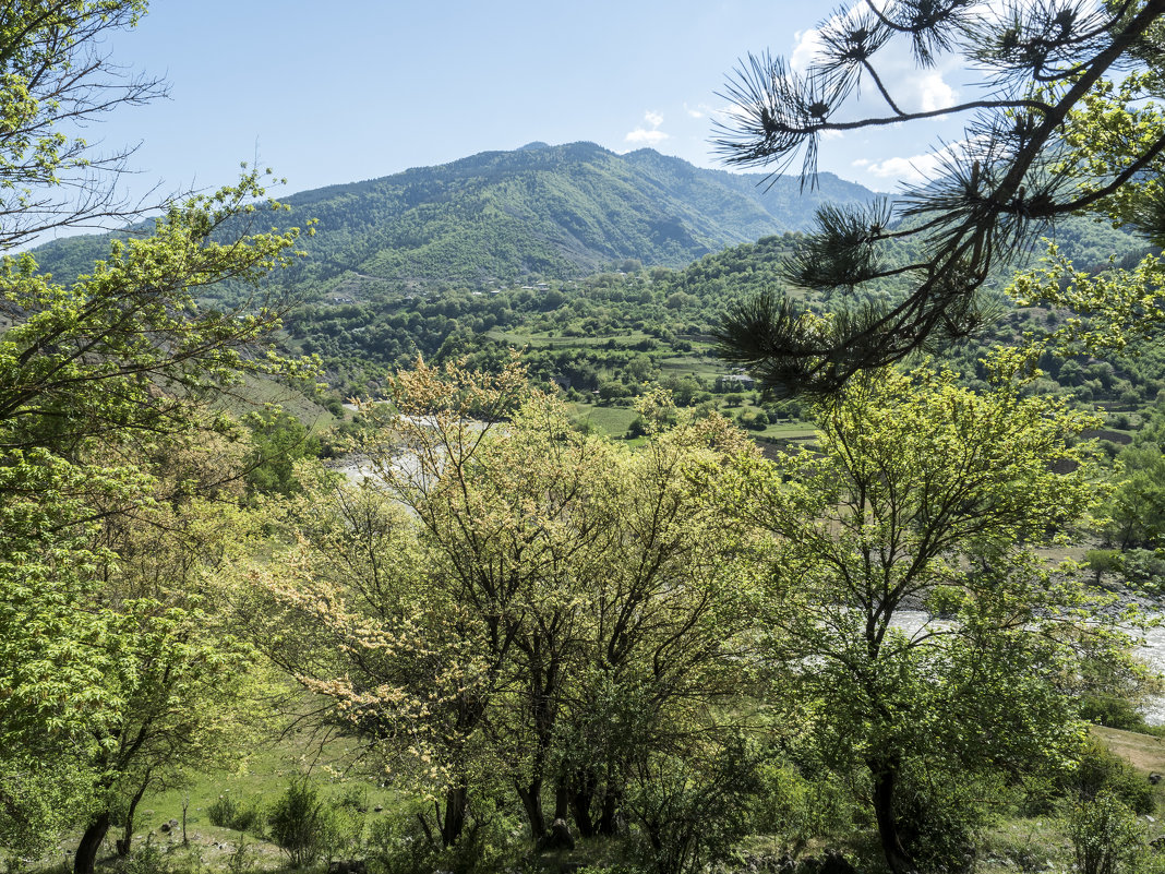 по дороге к Вардзии - Лариса Батурова