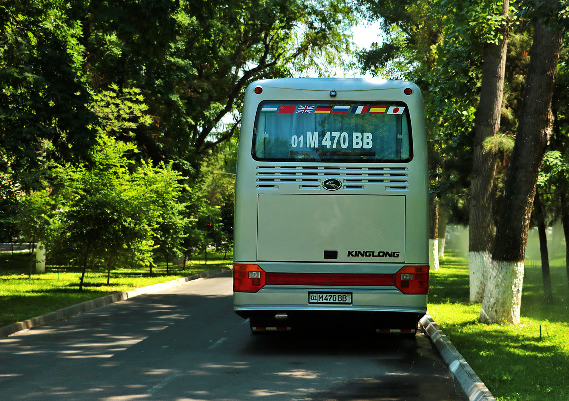 Интернациональный автобус - Светлана 