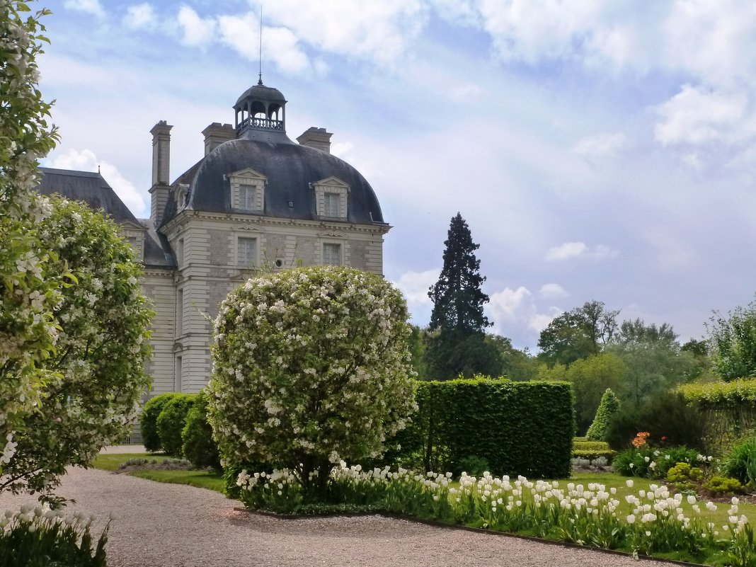 Jardine de chateau Cheverny - Iren Ko