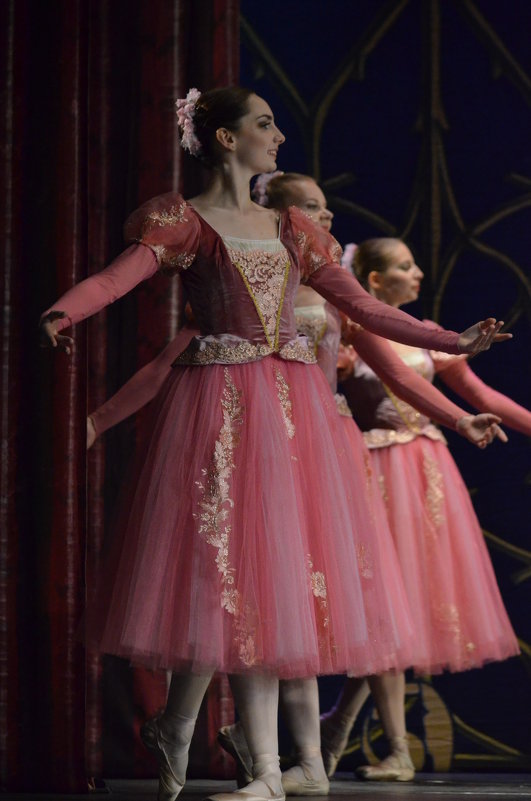 люблю балет - Таня Фиалка