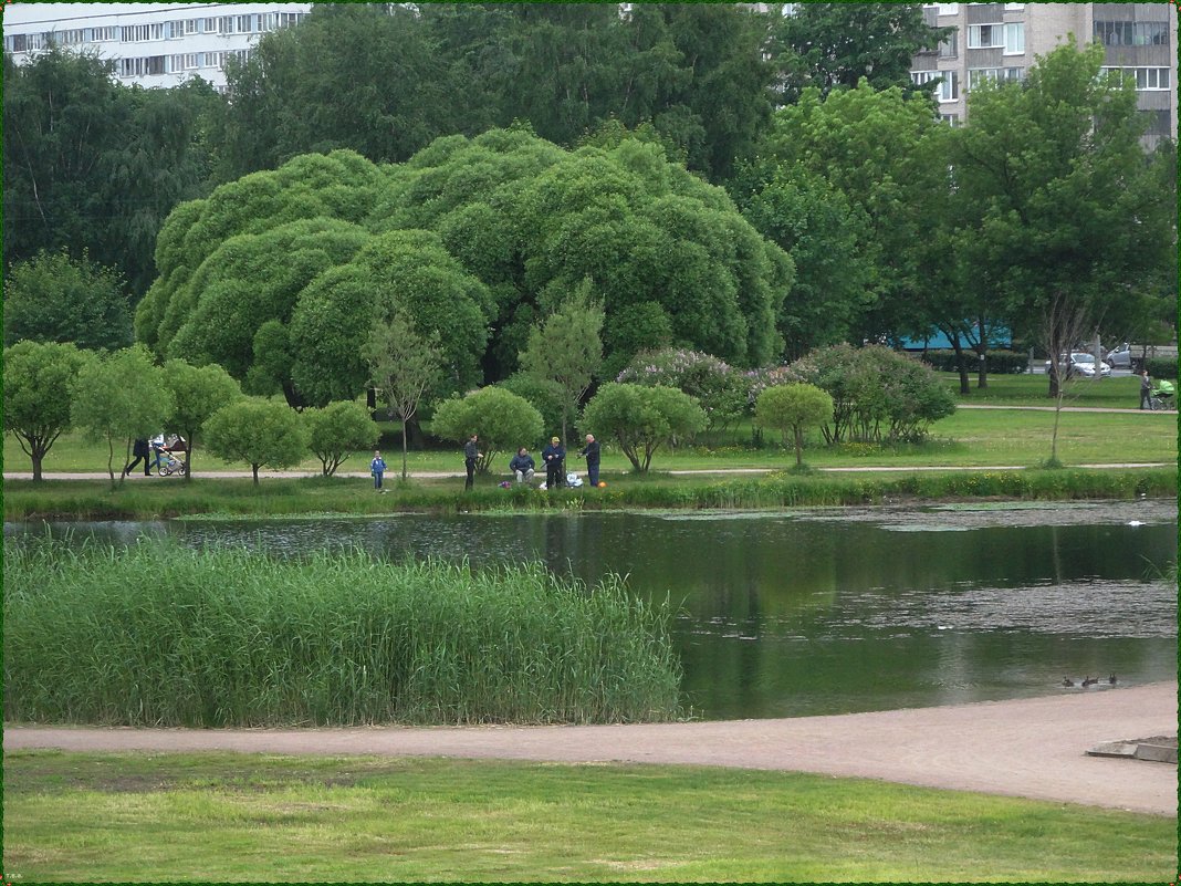 Озеро в городской черте - Вера 