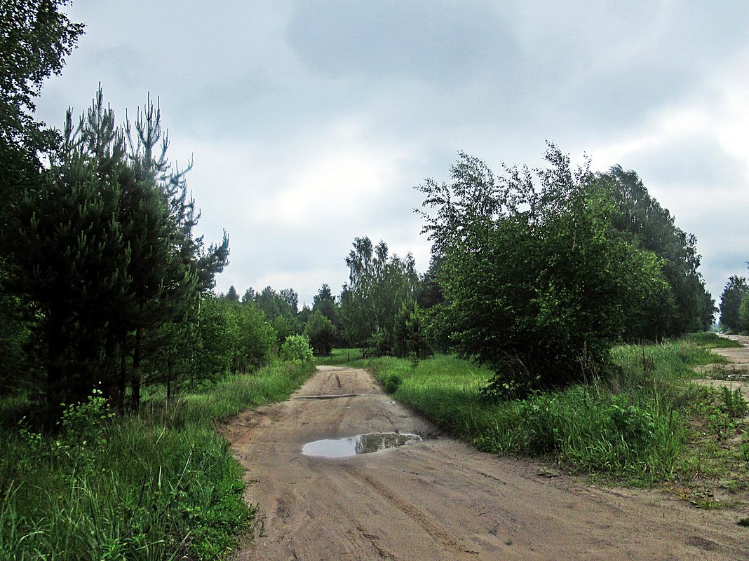 После дождичка в четверг - Лариса 