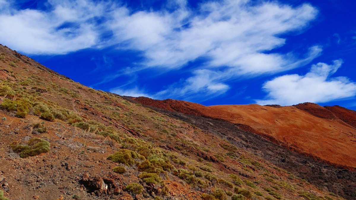 Национальный парк Лас Каньядас, вокруг вулкана Тейде - Лариса 