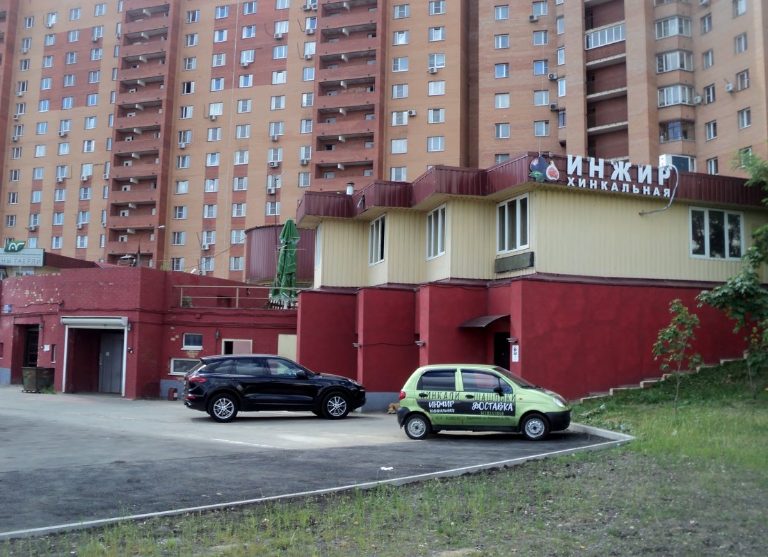 Городские дебри. Дзержинский. - Ольга Кривых