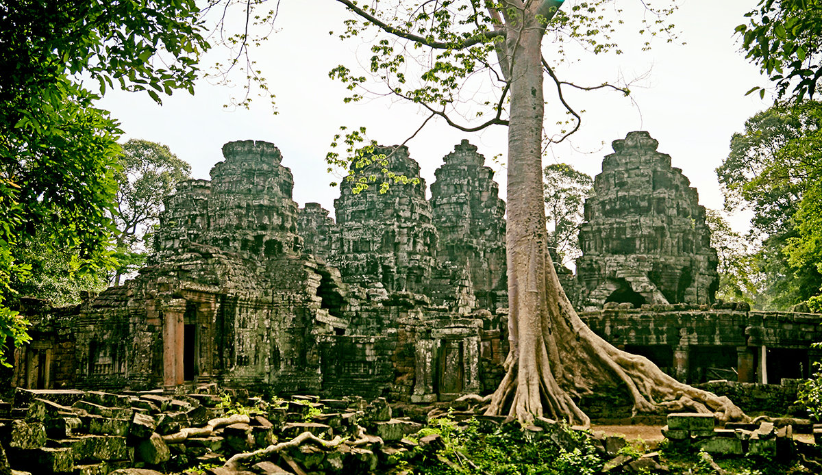 Древний храм в джунглях Камбоджи - Alex 
