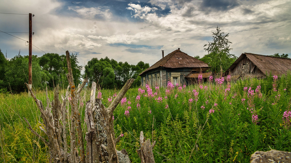 *** - Вера Сафонова