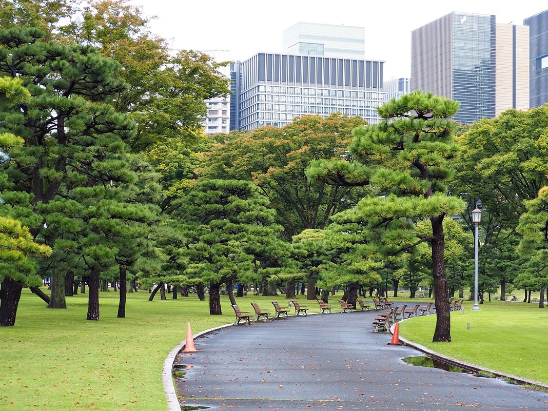 Городской парк Токио Япония - wea *