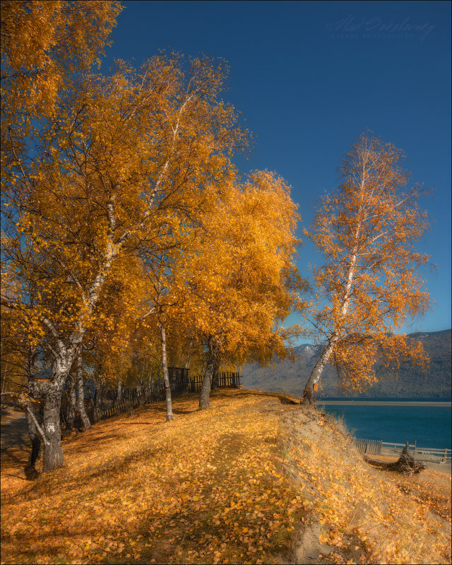 Осень на Алтае - Влад Соколовский