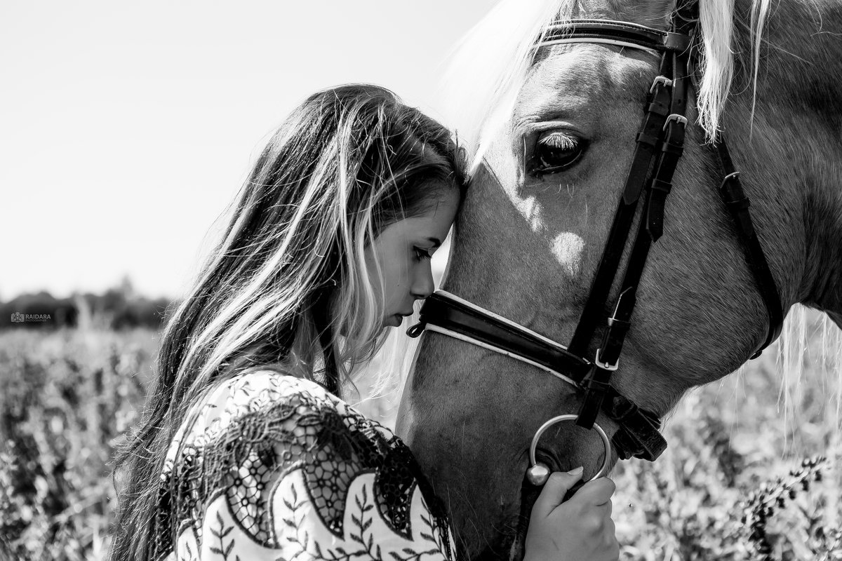 Любовь к лошадям - Райдара Лесная