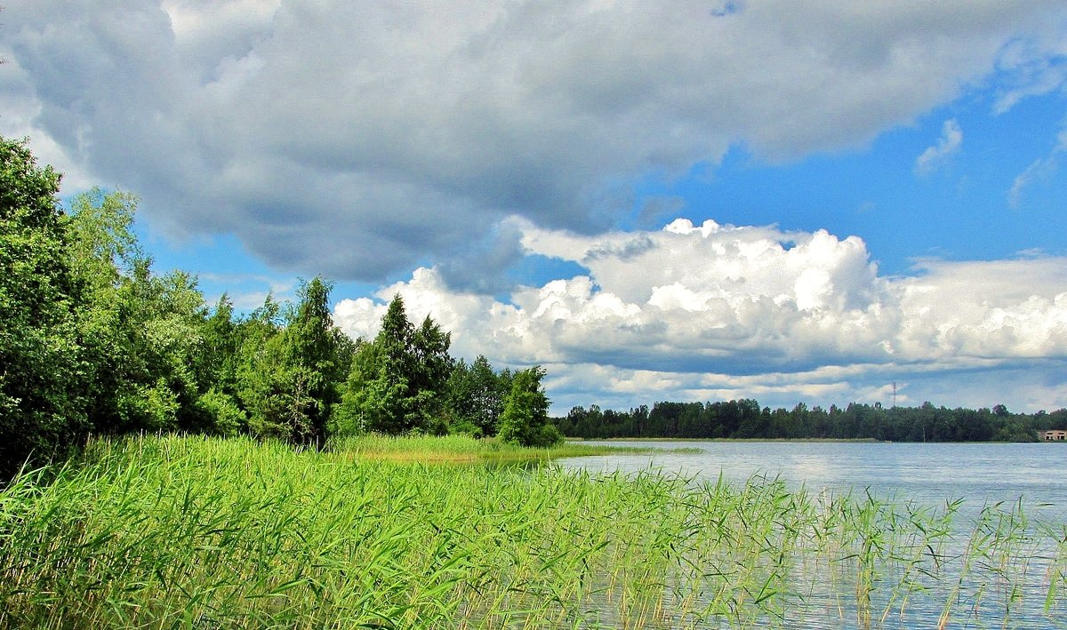 Летом у озера - Leonid Tabakov
