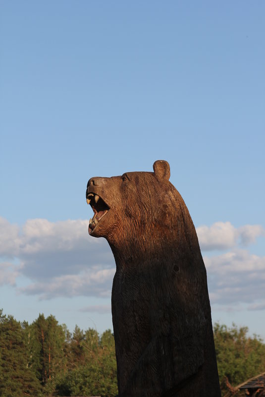 Медведь - Sahvik S