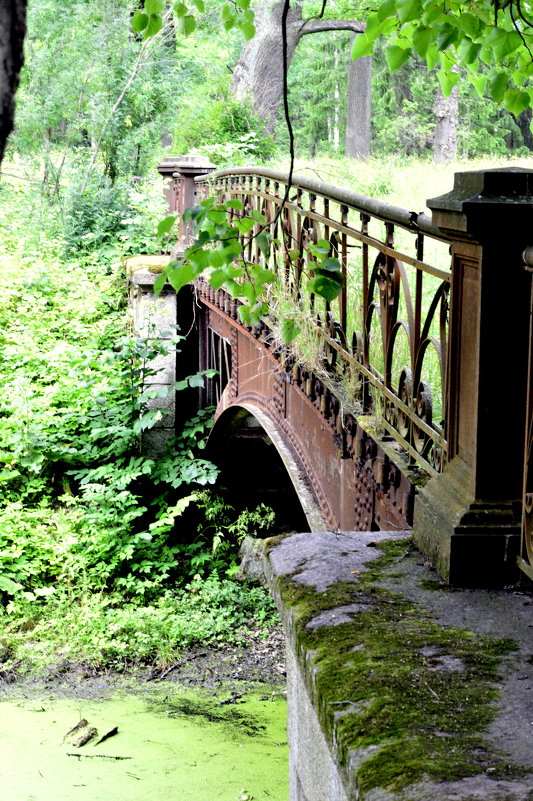 Старый мост  4 - Сергей 