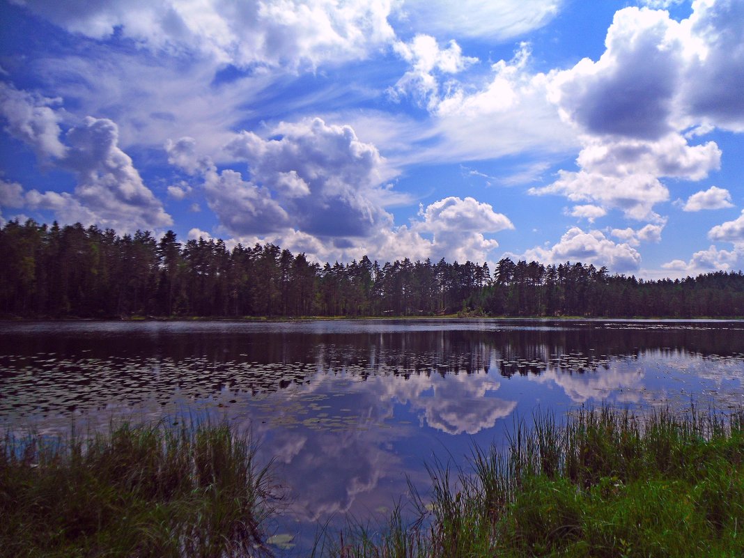 Наше озеро - Vladimir Semenchukov